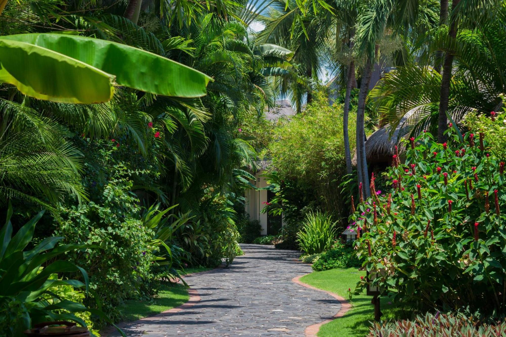 Serene Oasis Bungalow Garden View,1713728909:JPEG